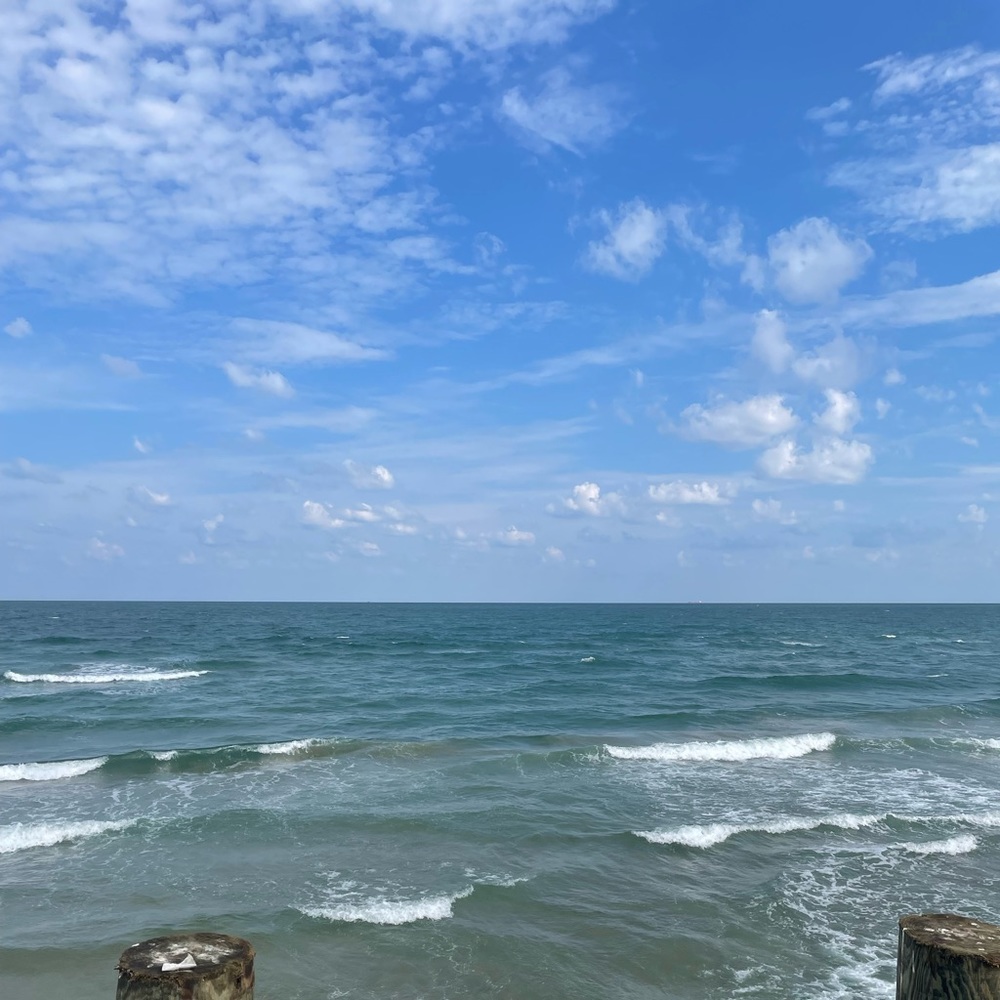 Meet your Posher, Aleksa